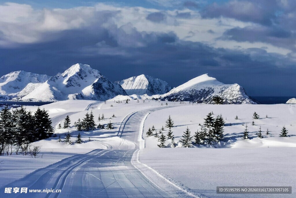冬日雪路远山近树美景