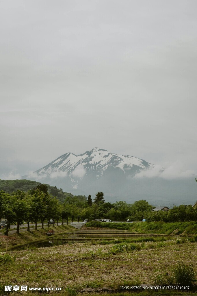 远山绿野间的壮美雪山
