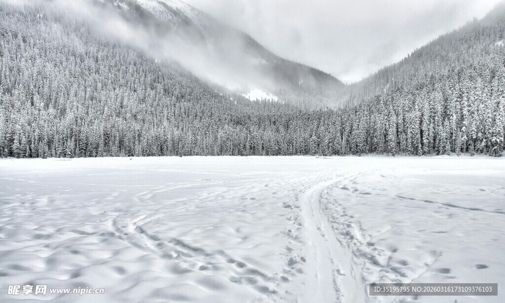 冬日雪野山林风光