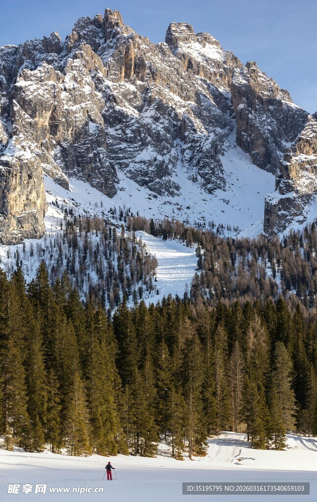 雪山下的森林与冰面景观