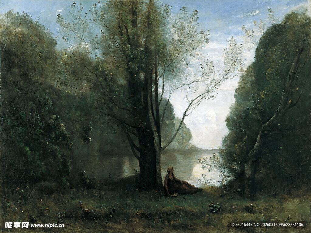 河畔树林中的静谧风景