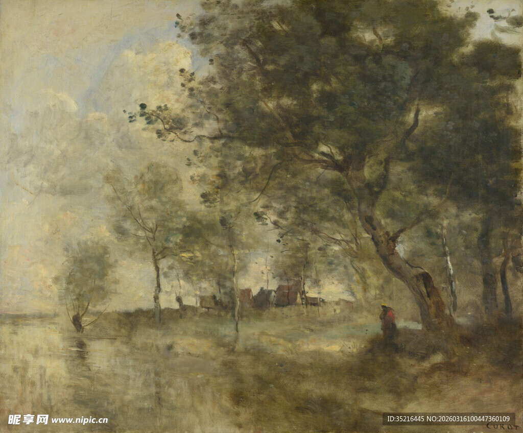 河畔树林中的静谧风景