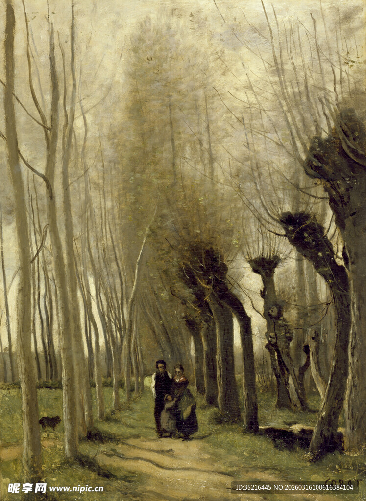 林间骑行的静谧风景