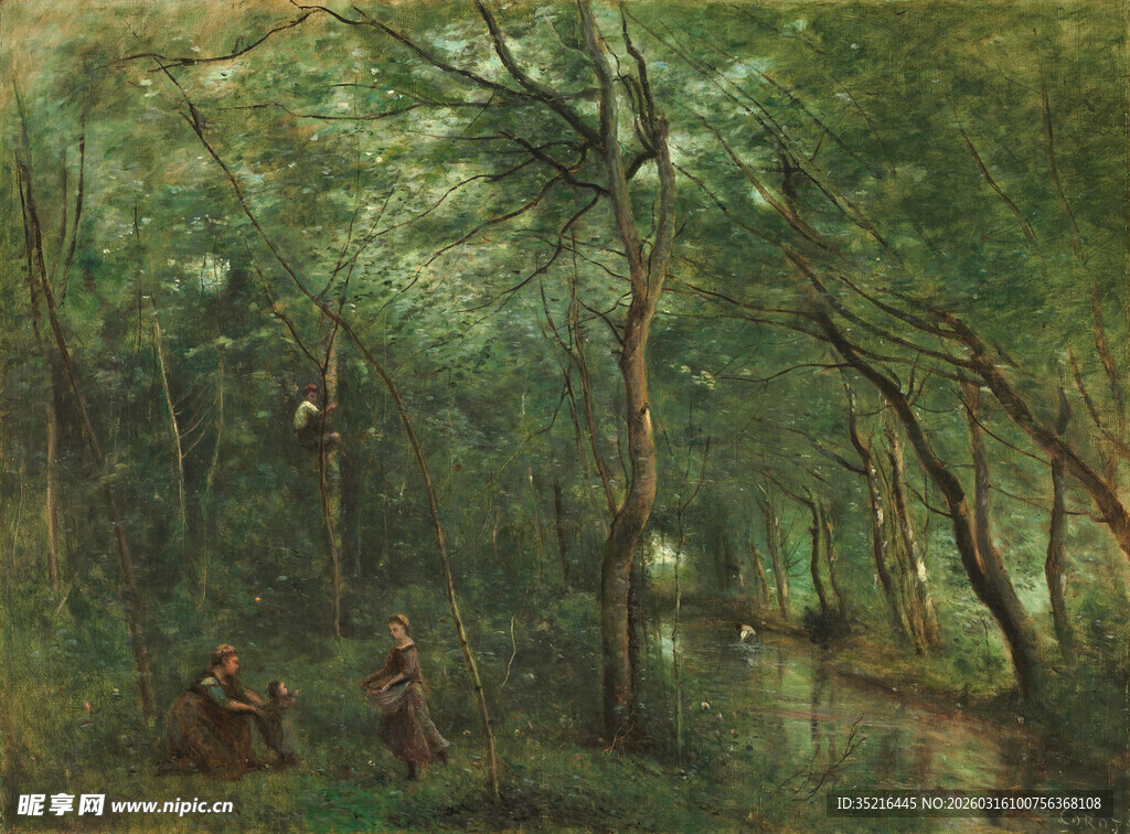 森林中的静谧场景