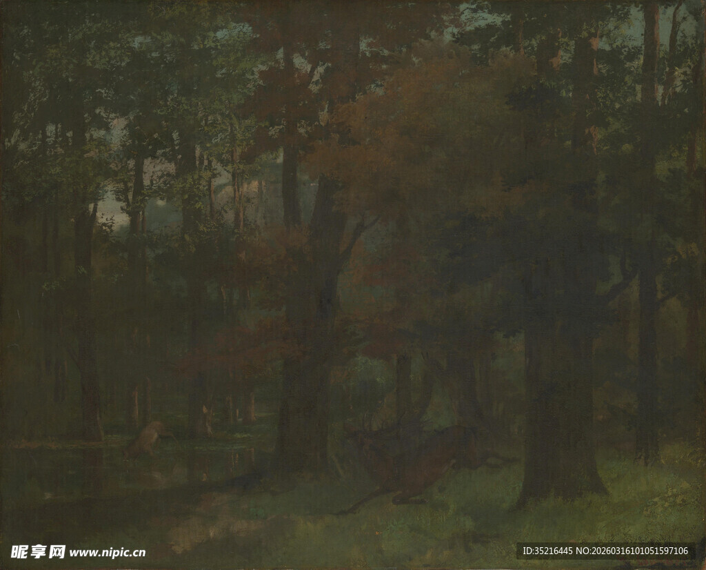 森林深处的静谧景致