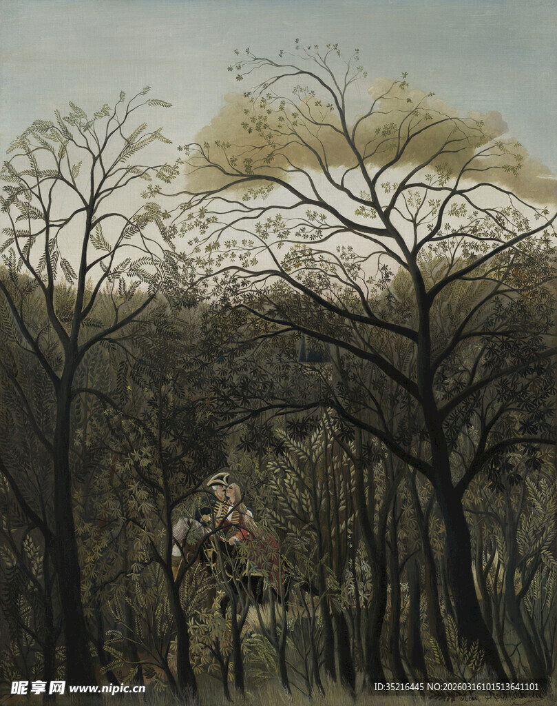 森林中的静谧景象