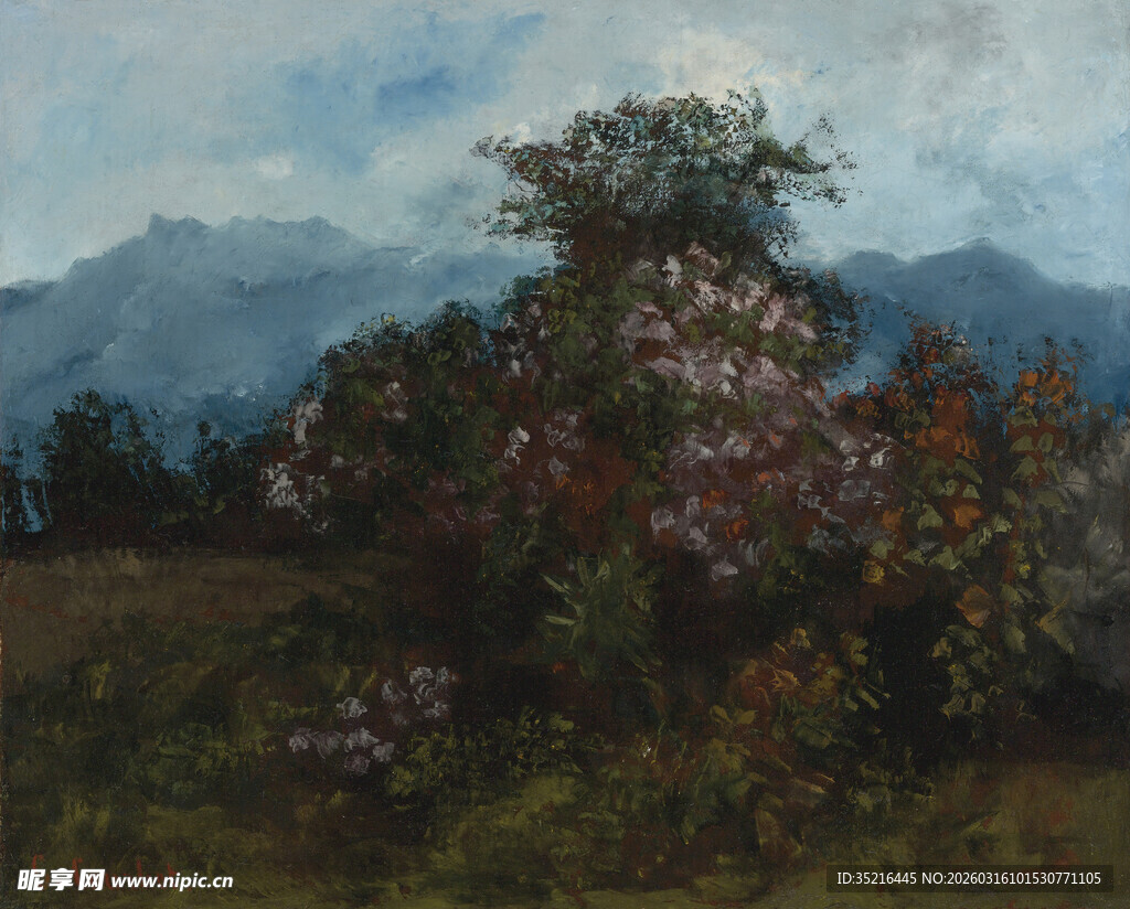 山间繁花盛开的自然景致