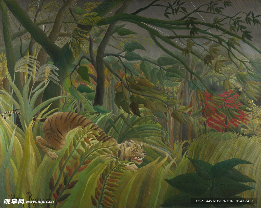 丛林深处的奇幻植物景观