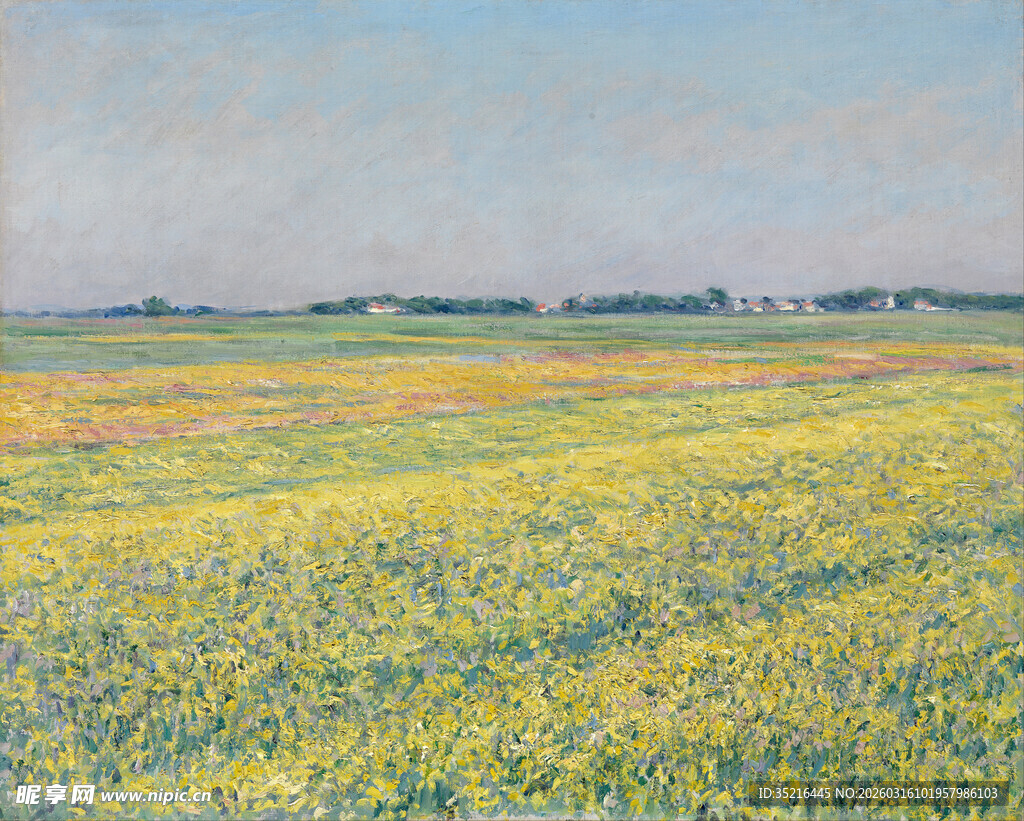 广袤花海田园风光