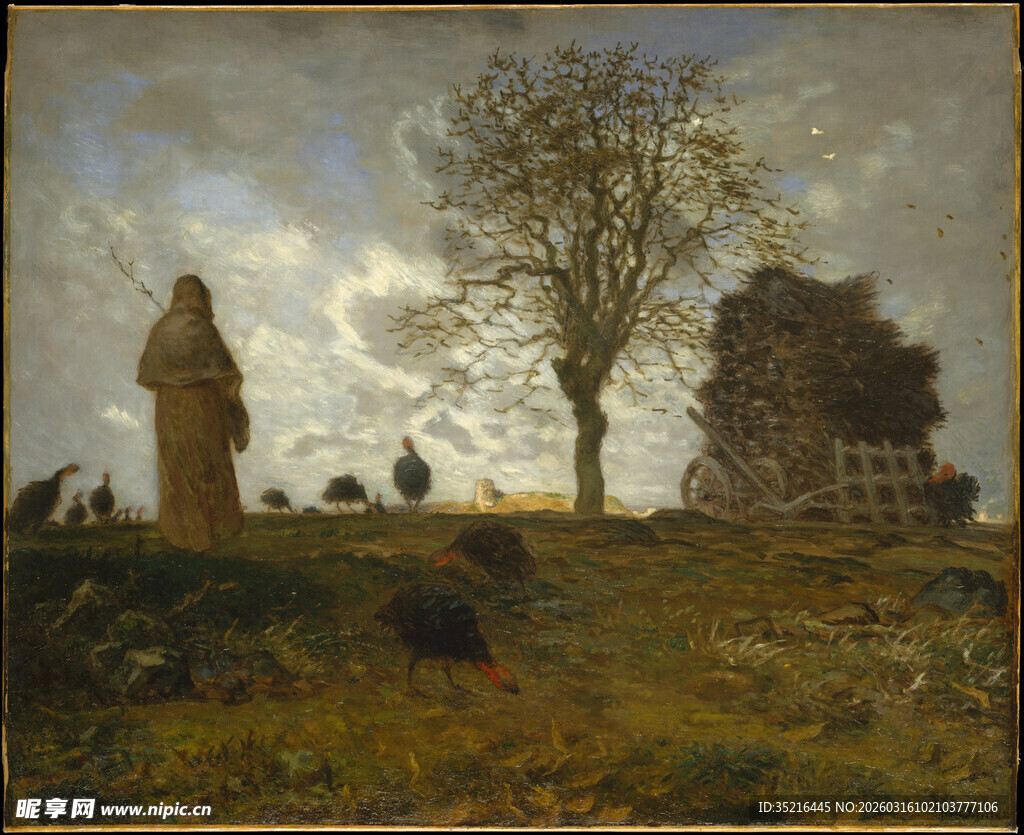 田野中的古老遗迹与孤树