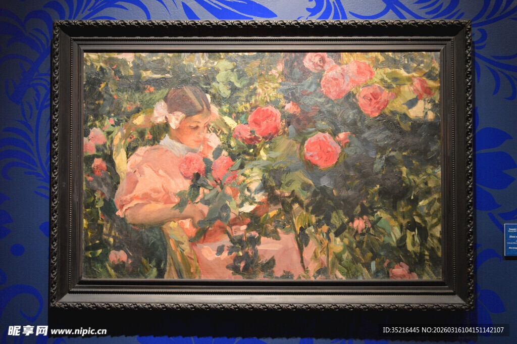 花卉油画作品展示