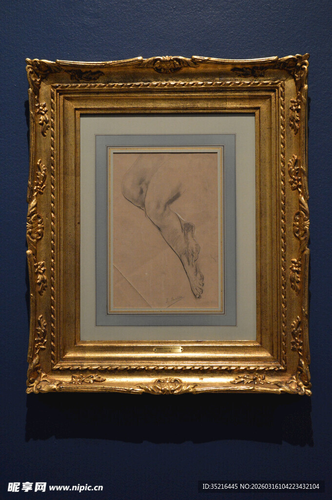 金色画框中的花卉画作