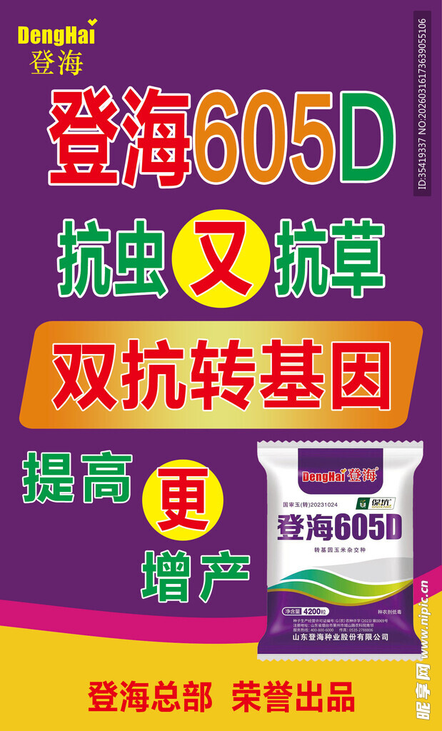 登海605D抗草双抗转基因玉米