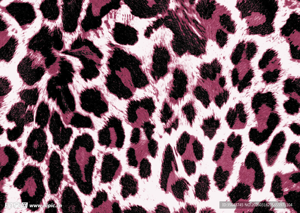 豹纹图案纹理背景图