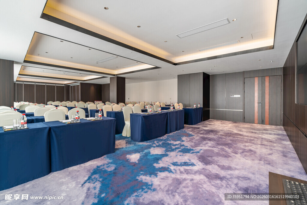 现代会议室豪华座椅布置