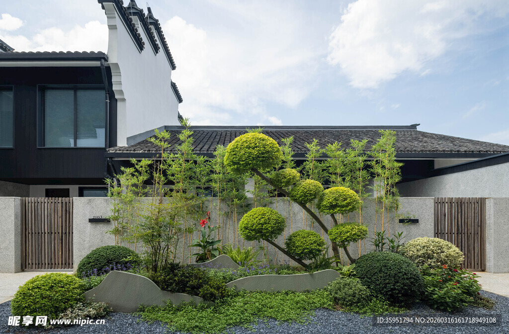 现代庭院绿植景观