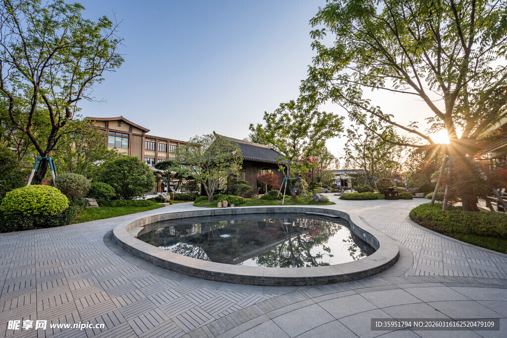 庭院中的精美水景与绿植