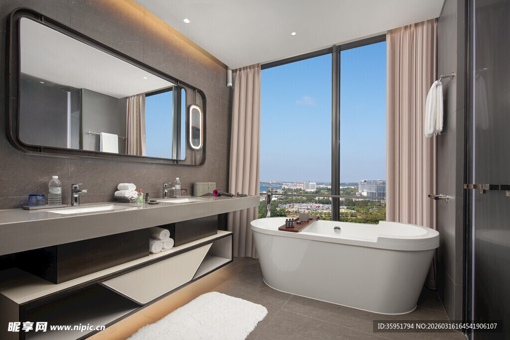 现代风格豪华浴室全景