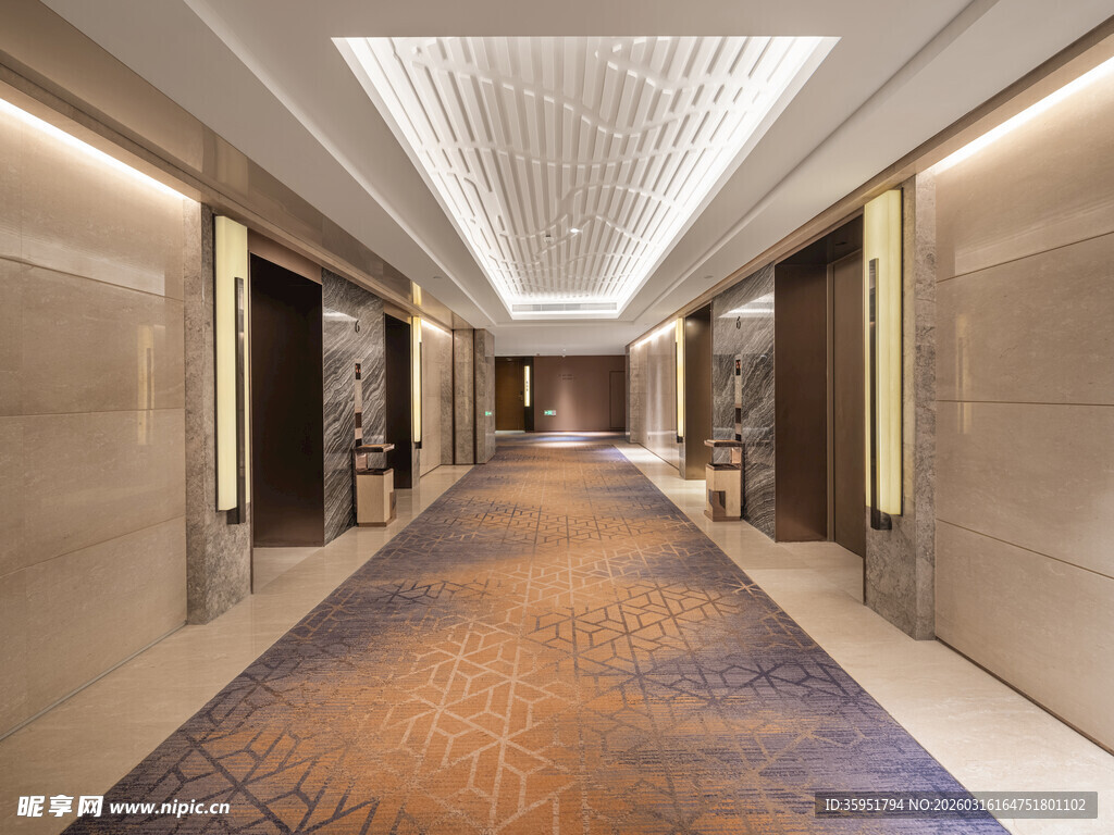 豪华酒店走廊地毯精美设计