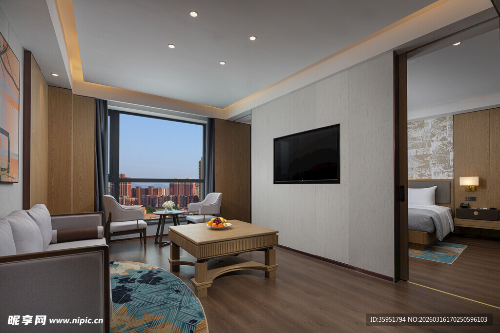 现代风格豪华客厅卧室一体