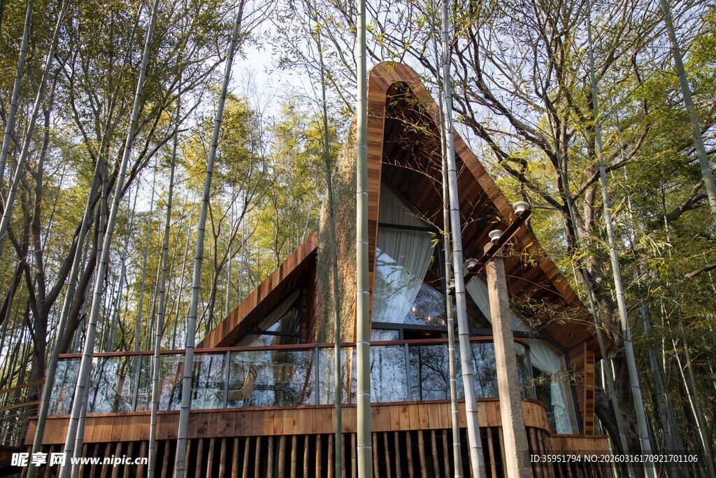 林间木屋自然中的静谧居所