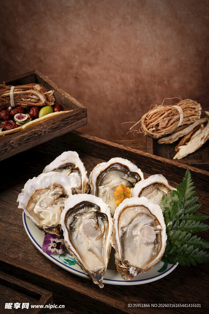 新鲜生蚝摆盘展示