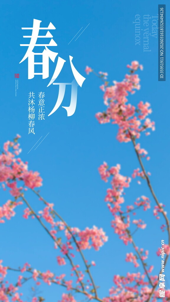 春分时节绽放的粉嫩花朵