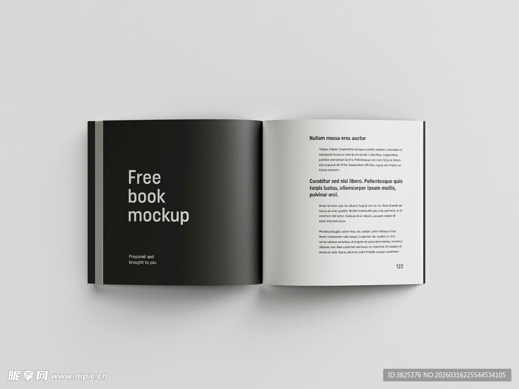 打开的黑白简约风书籍展示样机
