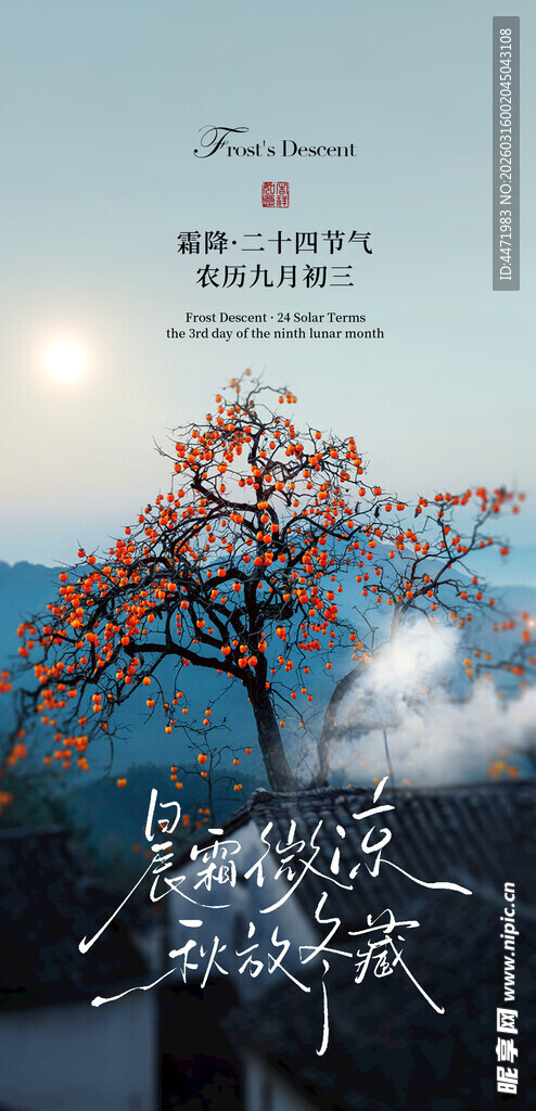 孤树映日秋景诗意画卷