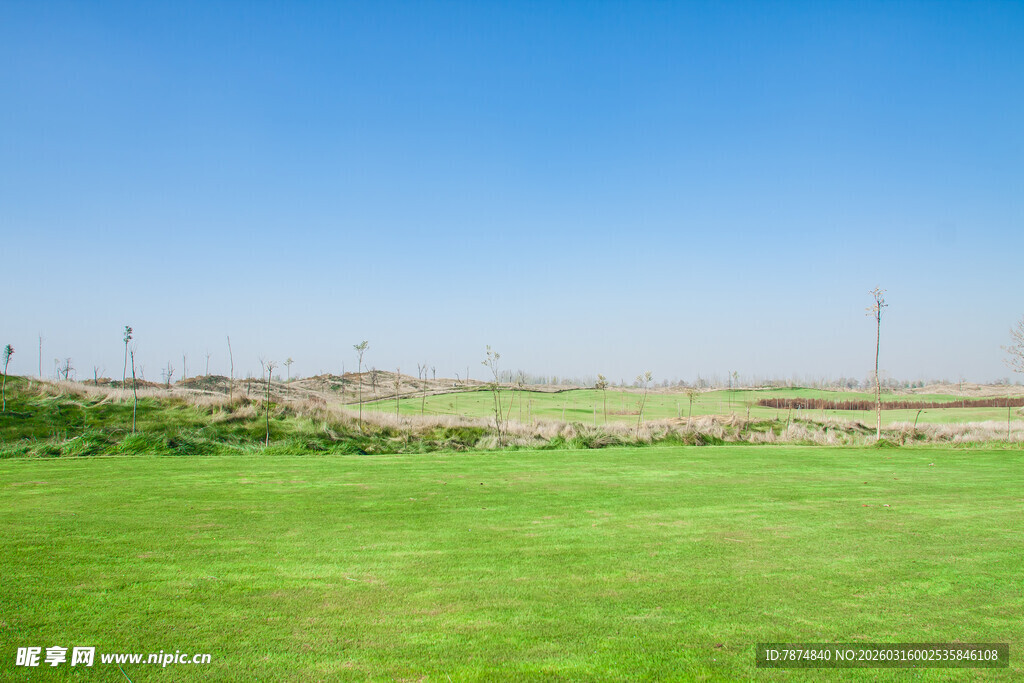 广袤绿草地与远处景象