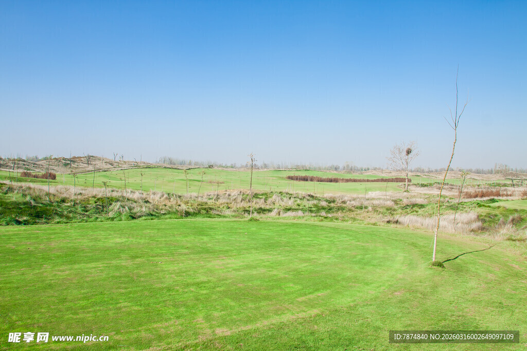广袤绿野 蓝天相伴的景致