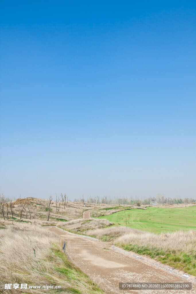 旷野中的蜿蜒土路