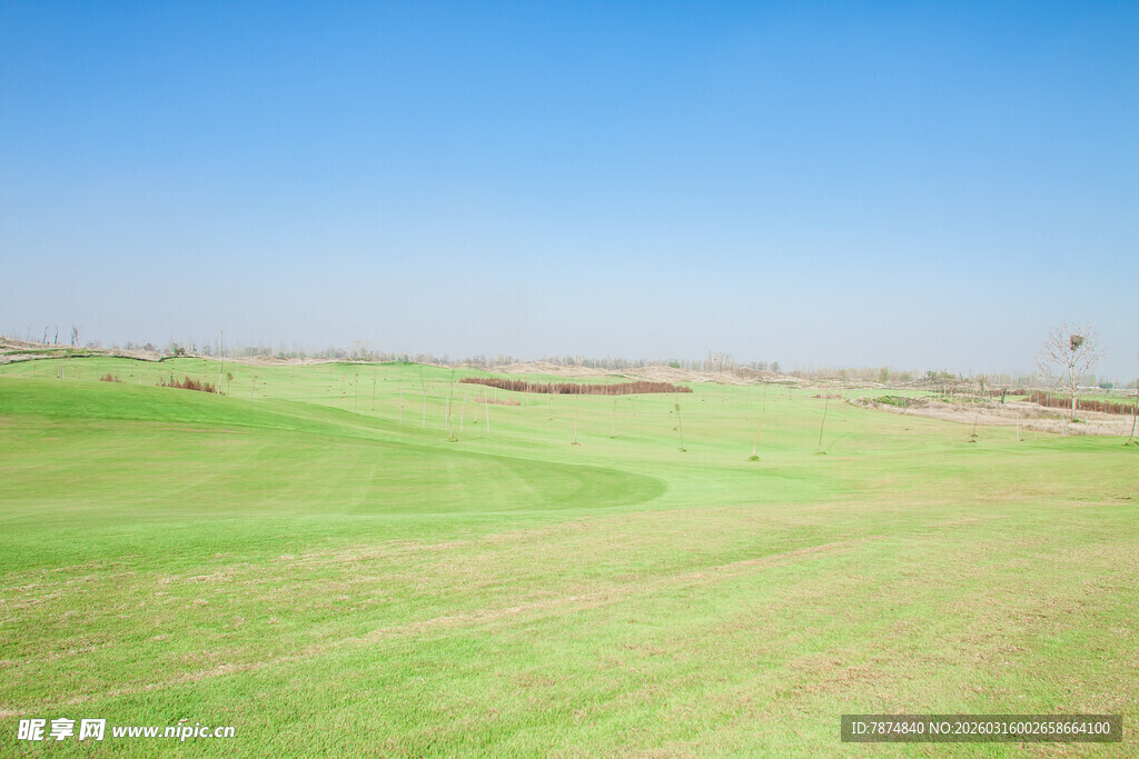 广阔绿草地 蓝天相衬