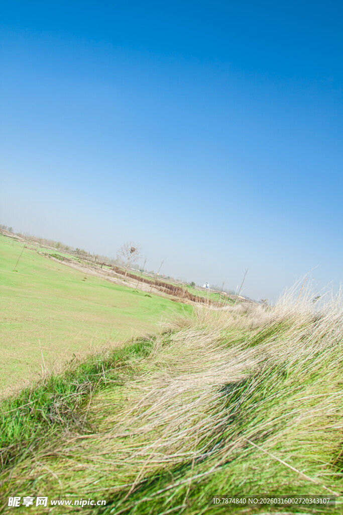 田野风光 清新自然美景