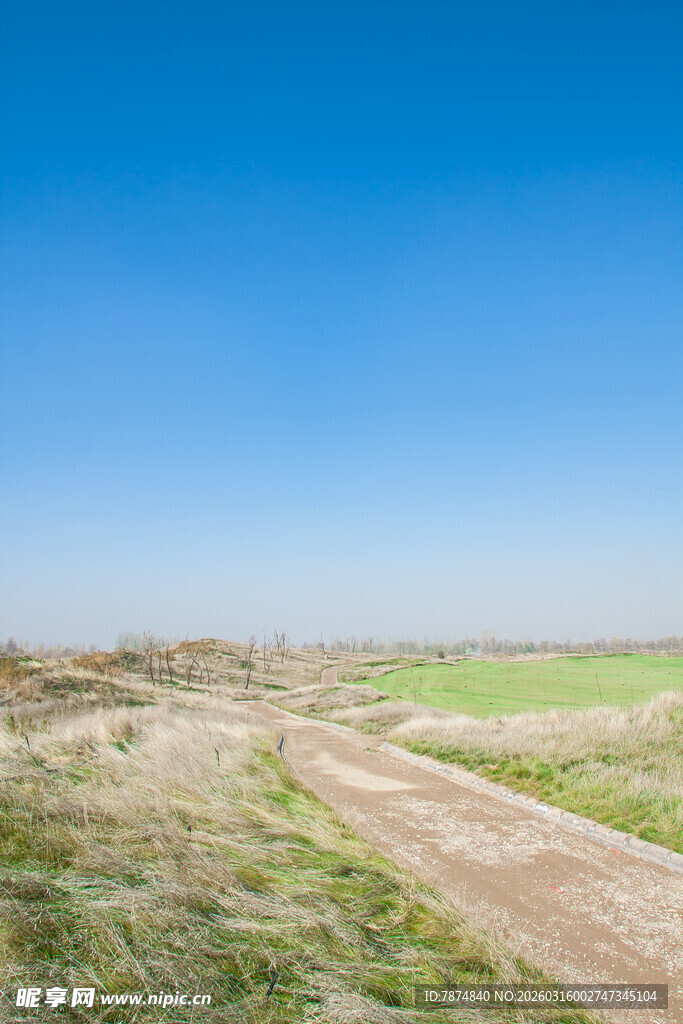 乡间土路 广袤绿野蓝天