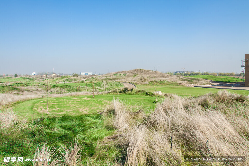 草原风光与稀疏植被