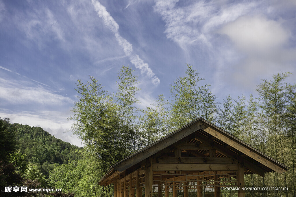 竹林中的古朴木屋