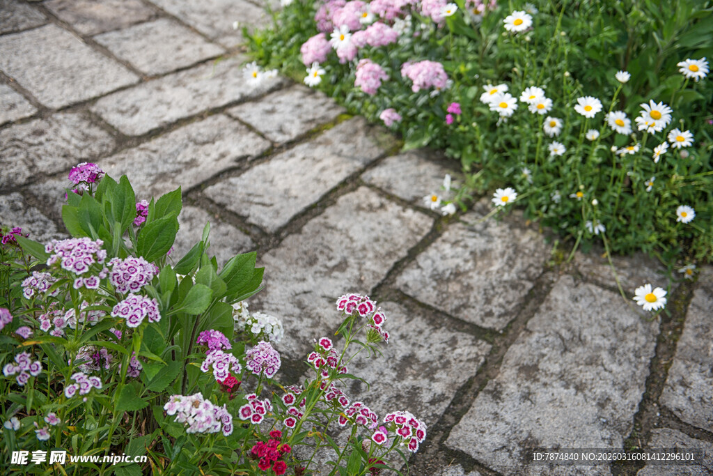 石径旁的缤纷花卉景观