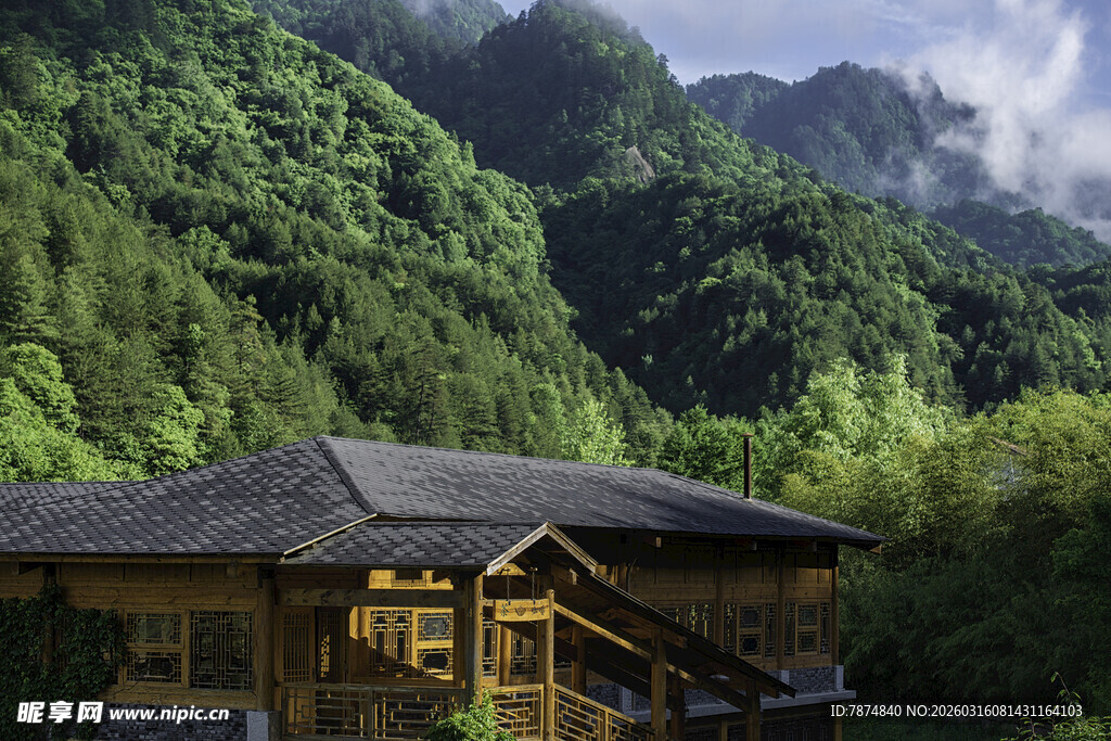 山间木屋 隐于翠绿山林间
