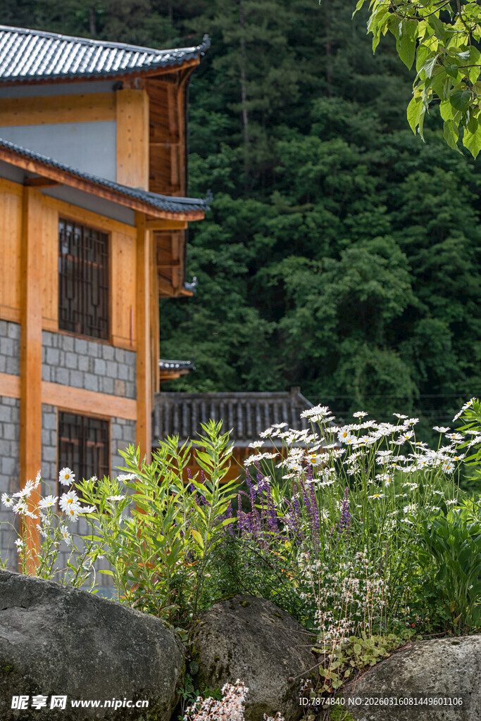 山间木屋旁的花草景致