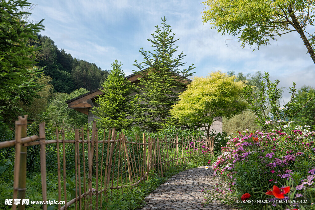 田园小径旁的缤纷花草