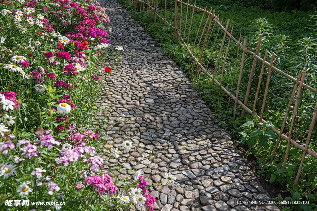 碎石小径旁的缤纷花卉
