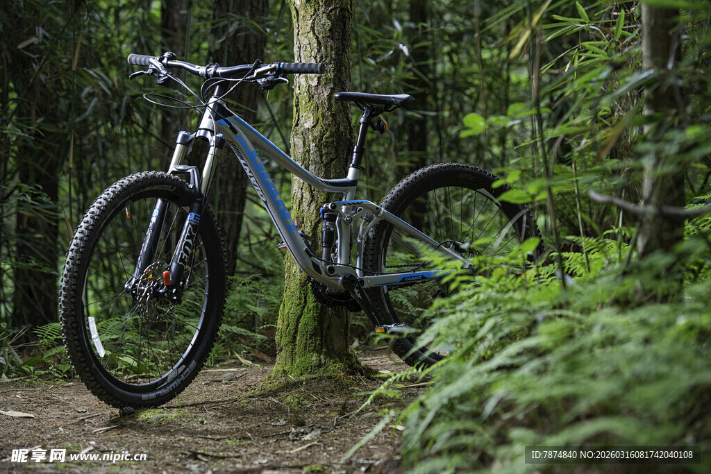 林间山地自行车