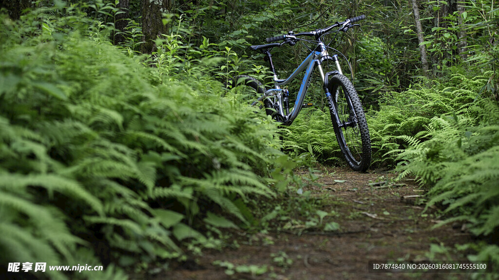 林间小道上的山地自行车