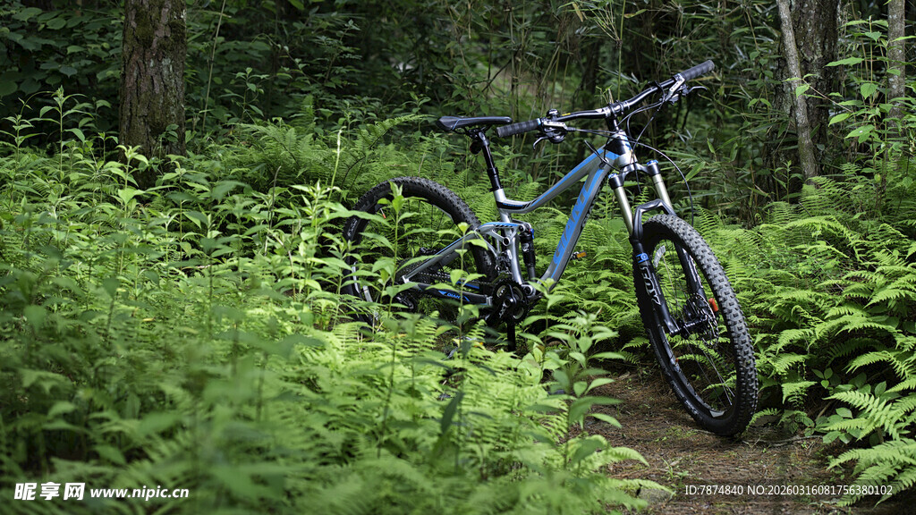 林间小道上的山地自行车