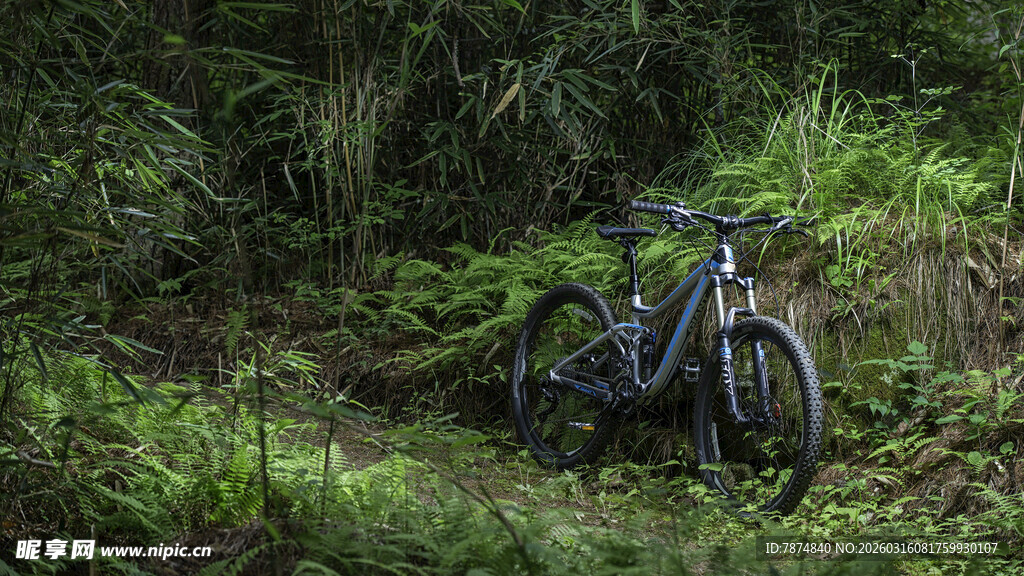 山地间的越野自行车