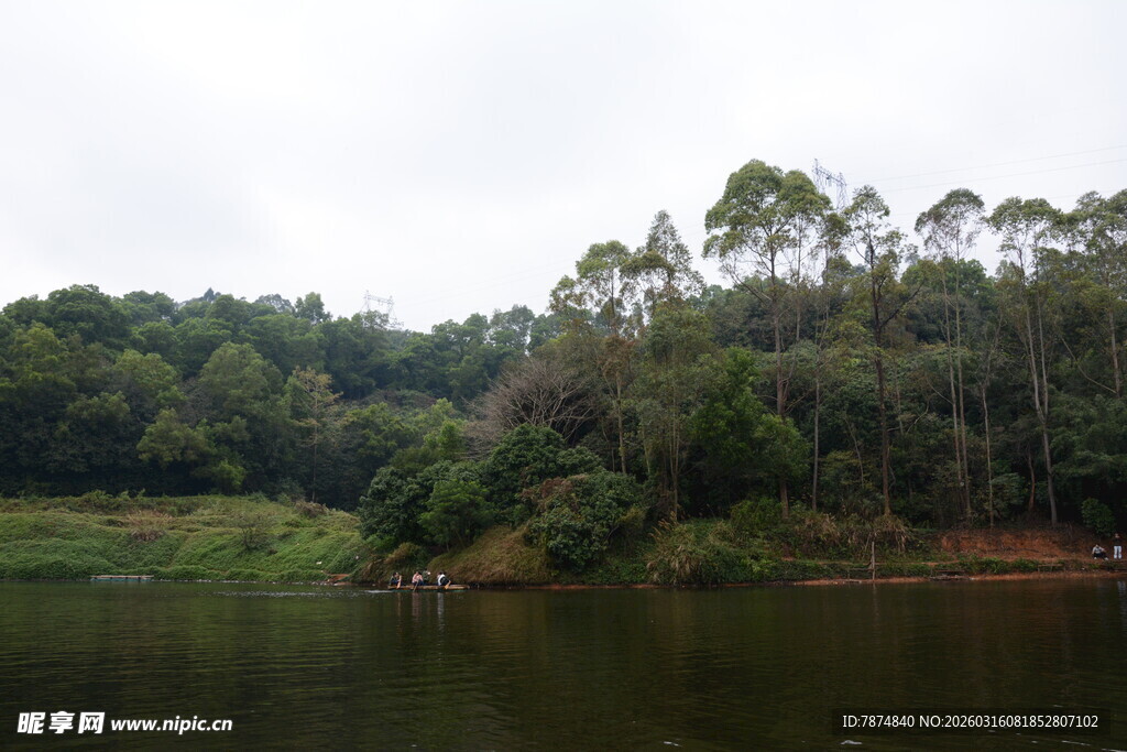 湖畔葱郁山林美景