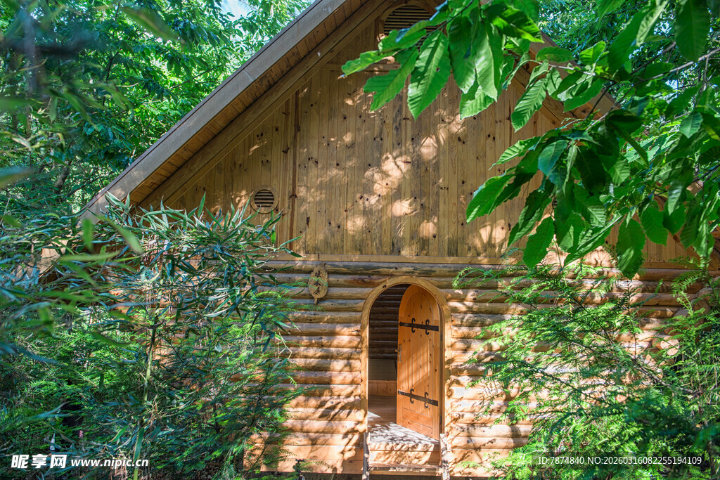 林间小屋 隐于绿意之中