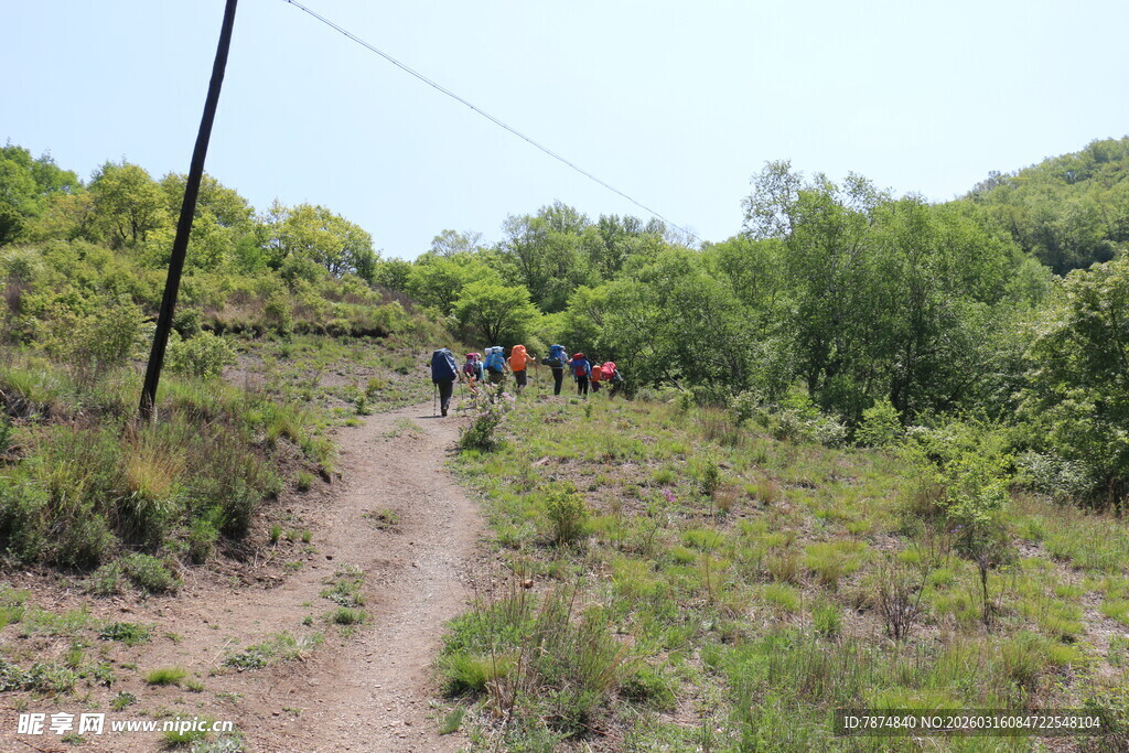 户外徒步者穿行林间小道