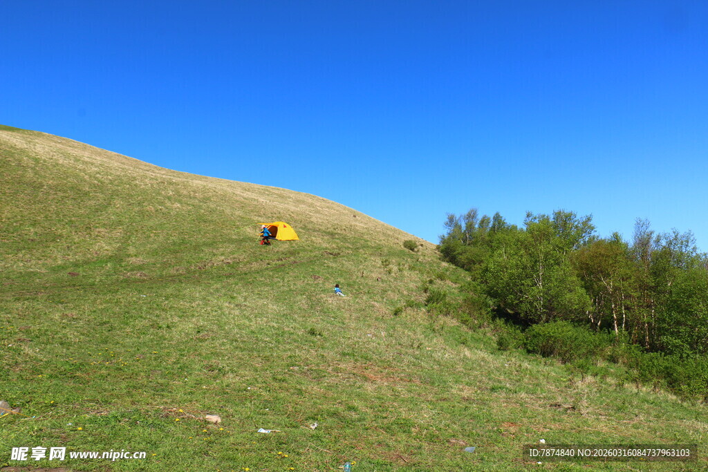 山坡上的开阔自然景致